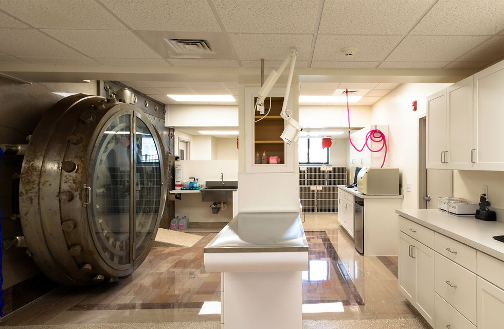 Bridgeport Veterinary Hospital 018