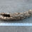 Thumbnail: 13" Cork Bark Tube #38