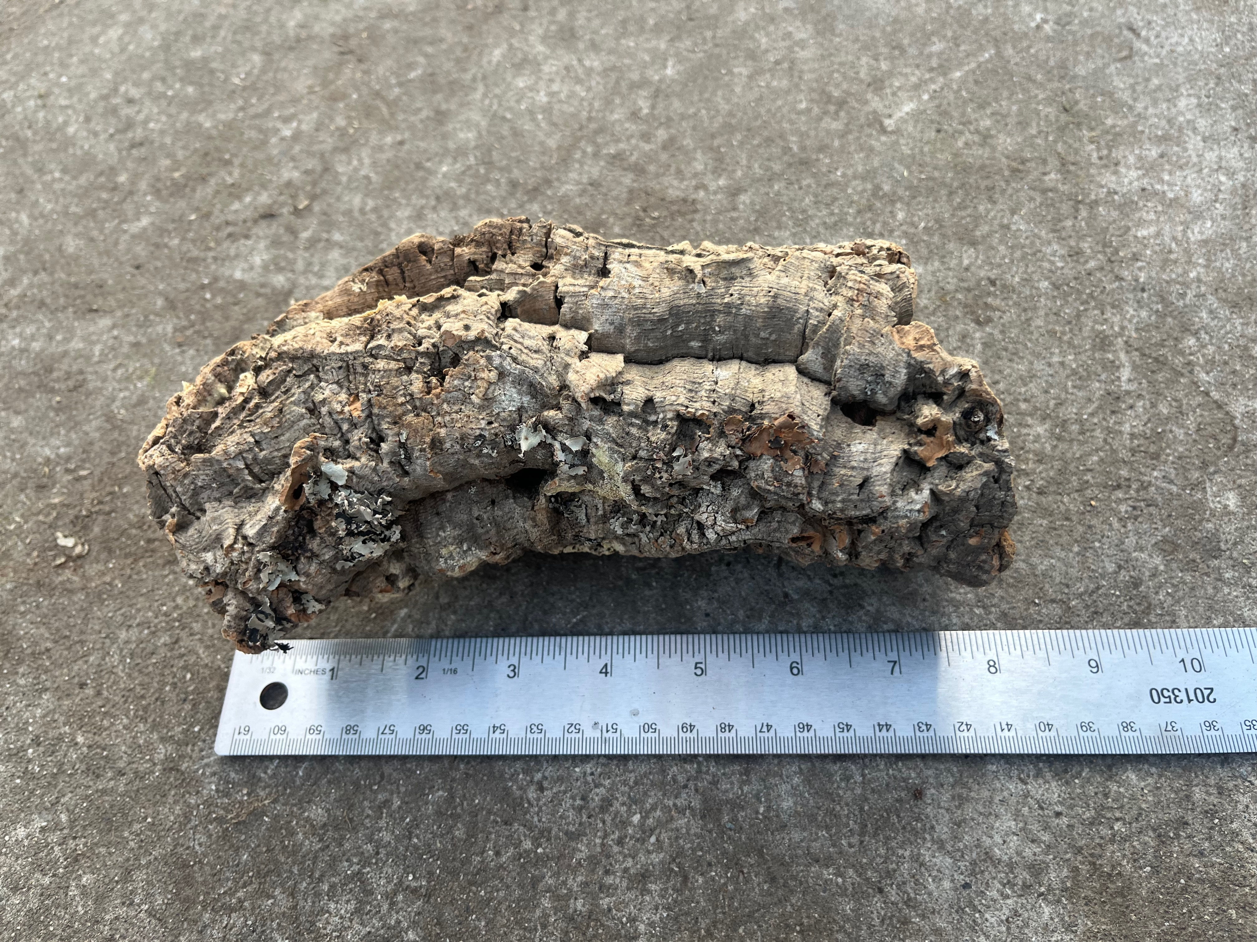 8" Cork Bark Tube #112