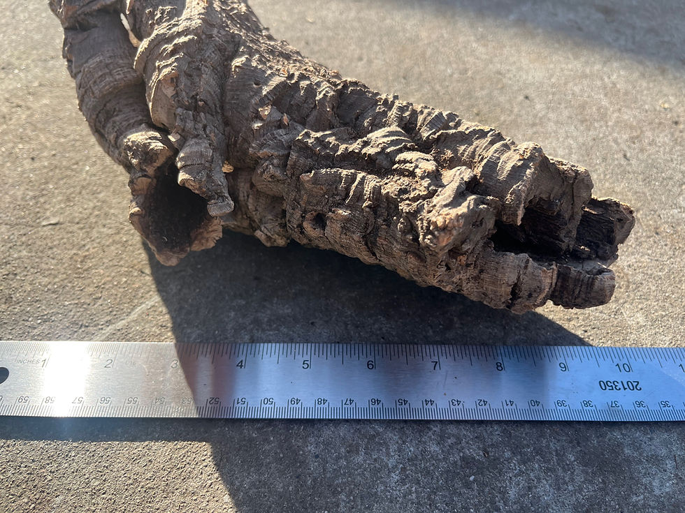 Thumbnail: 13" Cork Bark Tube #82