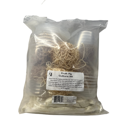 Fruit Fly Culture Kit 10 Pack Bioactive Supply