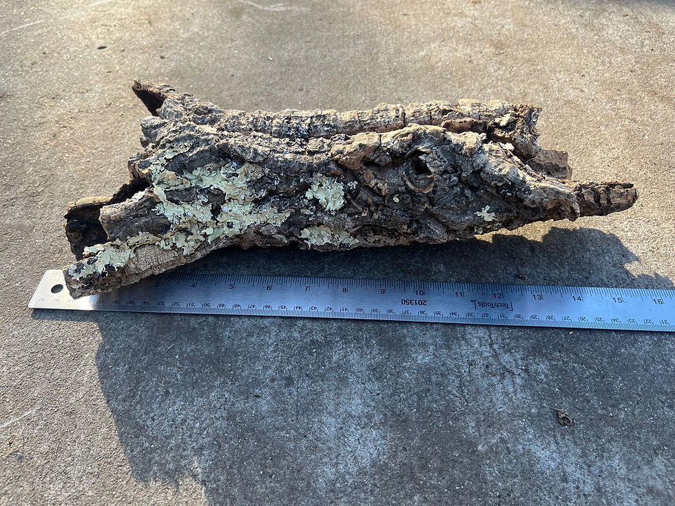 Thumbnail: 14.5" Cork Bark Tube #76