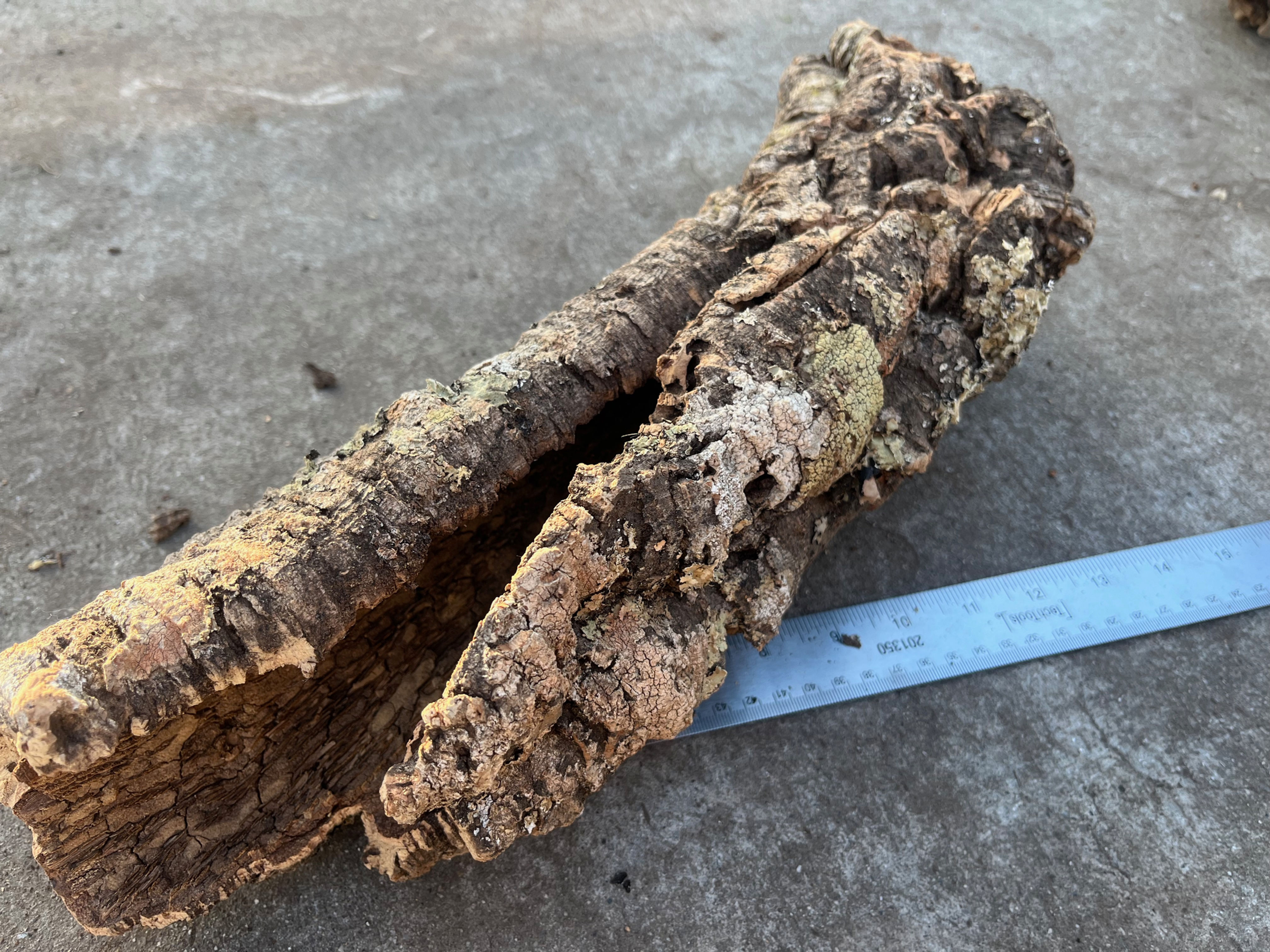 15.5" Cork Bark Tube #97