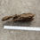 Thumbnail: 10" Dragon Bone Wood #39