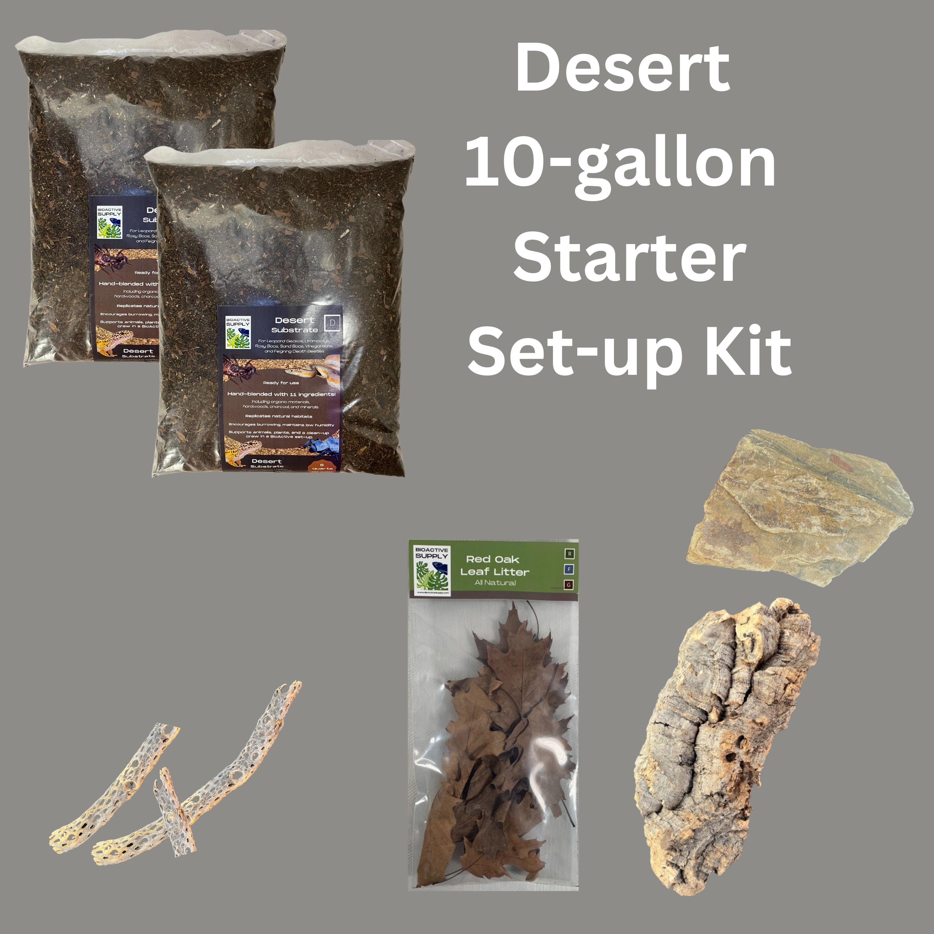 Desert BioActive 10 Gallon  Starter Set-up Kit