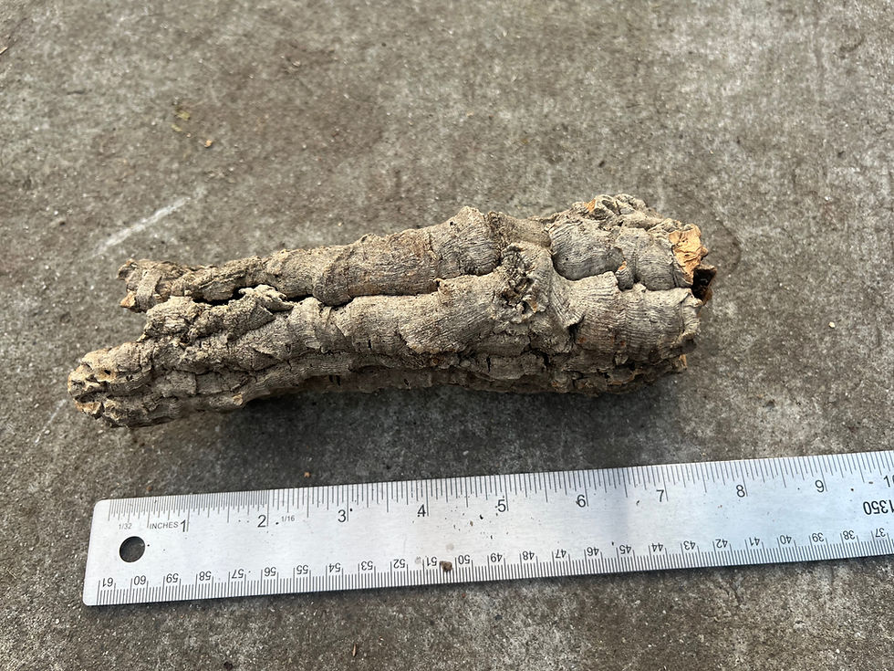 Thumbnail: 8" Cork Bark Tube #124