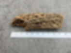 Thumbnail: 9" Cholla Wood #45