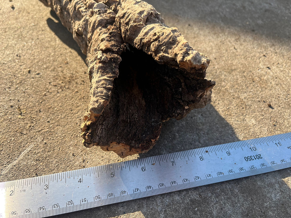 Thumbnail: 13" Cork Bark Tube #85