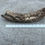 Thumbnail: 13" Cork Bark Tube #27