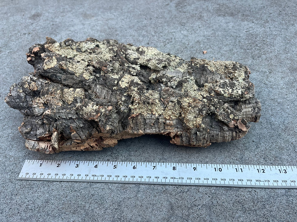Thumbnail: 12" Cork Bark Flat #2