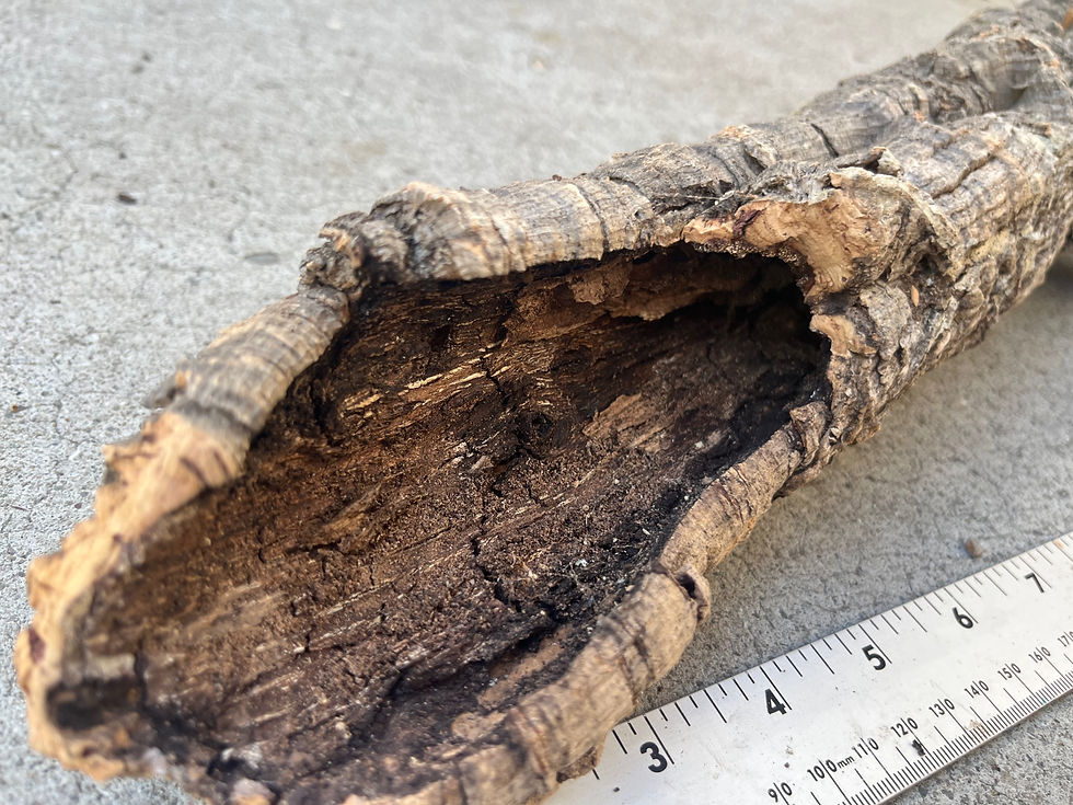 Thumbnail: 19" Cork Bark Tube #150