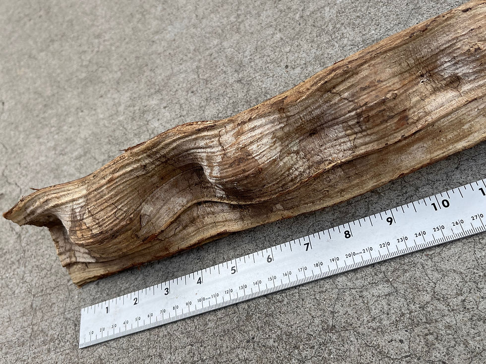 Thumbnail: 19" Jungle wood #7