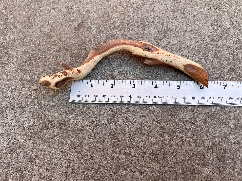 Thumbnail: 7" Ghost Wood #81