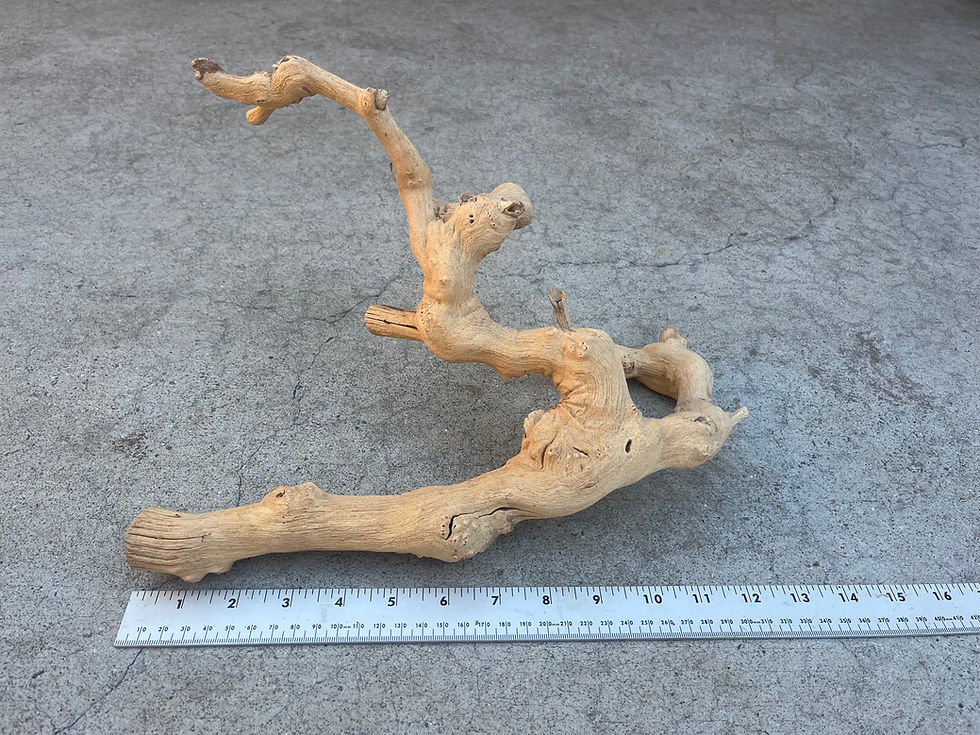 Thumbnail: 12.5" Grape Wood Branch #20