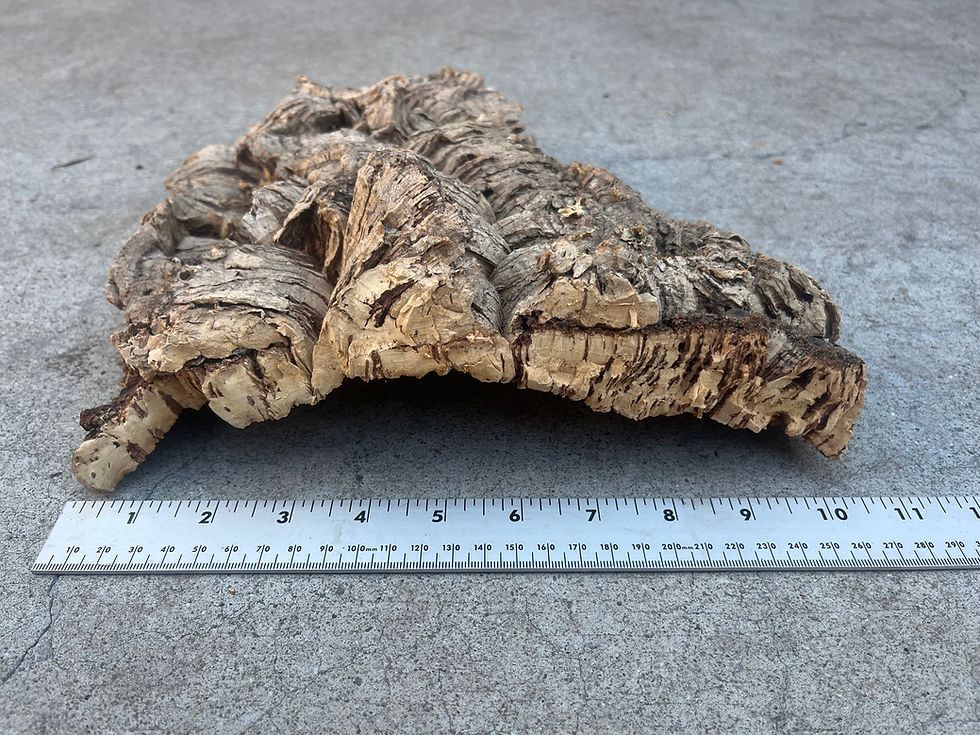 Thumbnail: 13" Cork Bark Flat #5