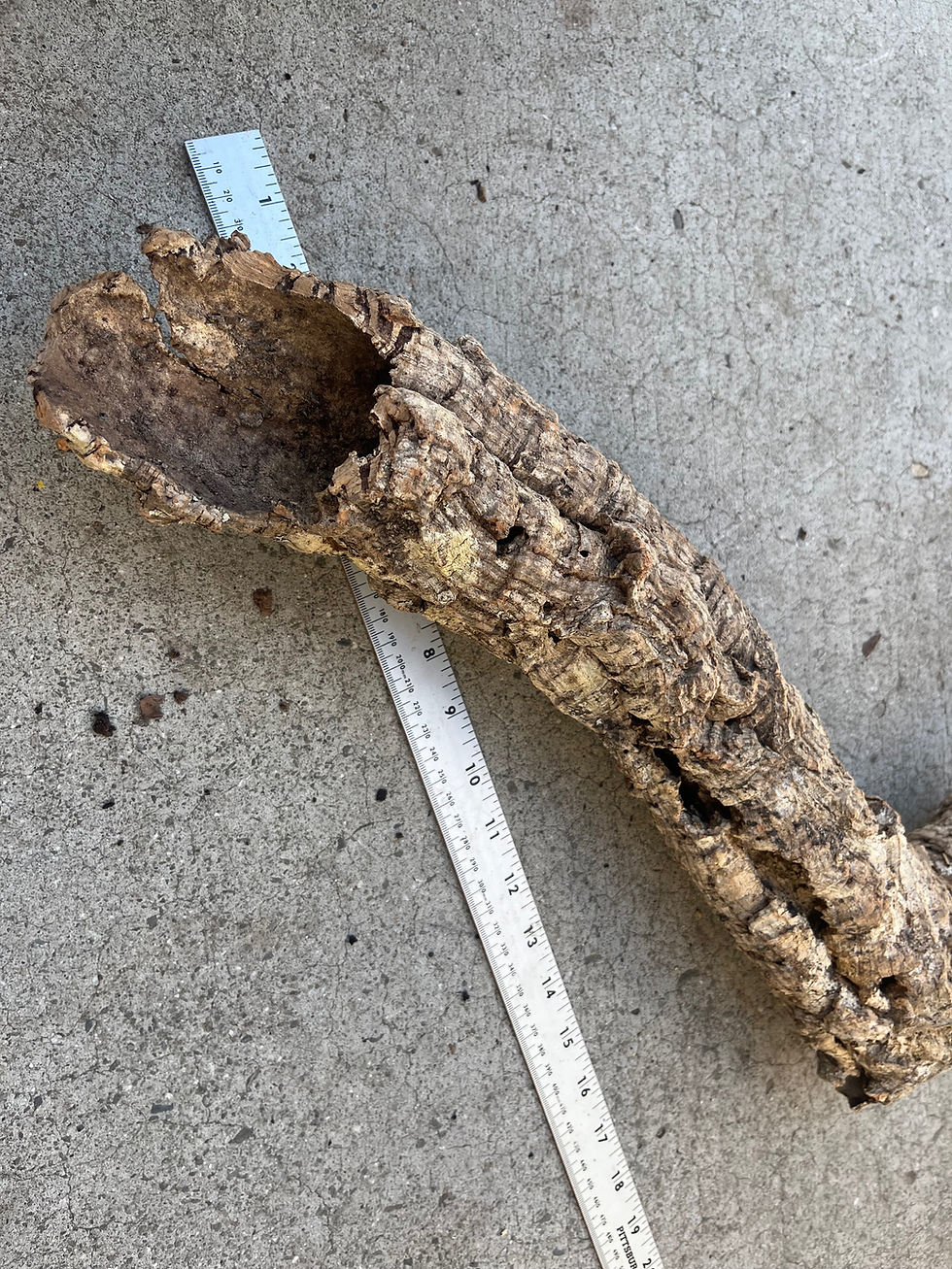 Thumbnail: 22" Cork Bark Tube #157
