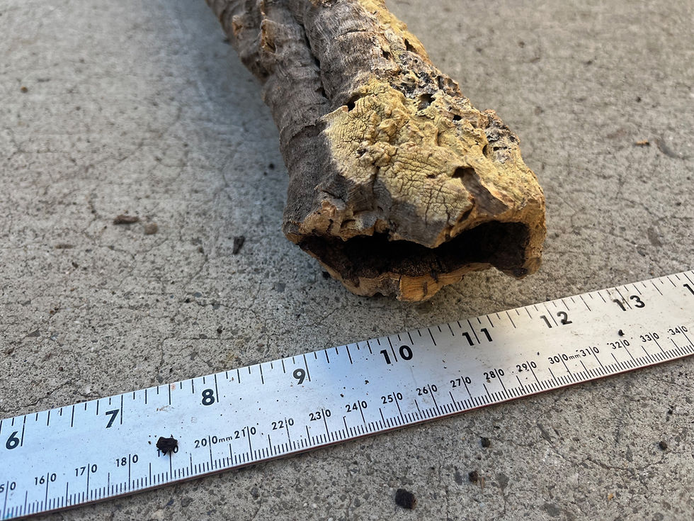 Thumbnail: 20" Cork Bark Tube #156