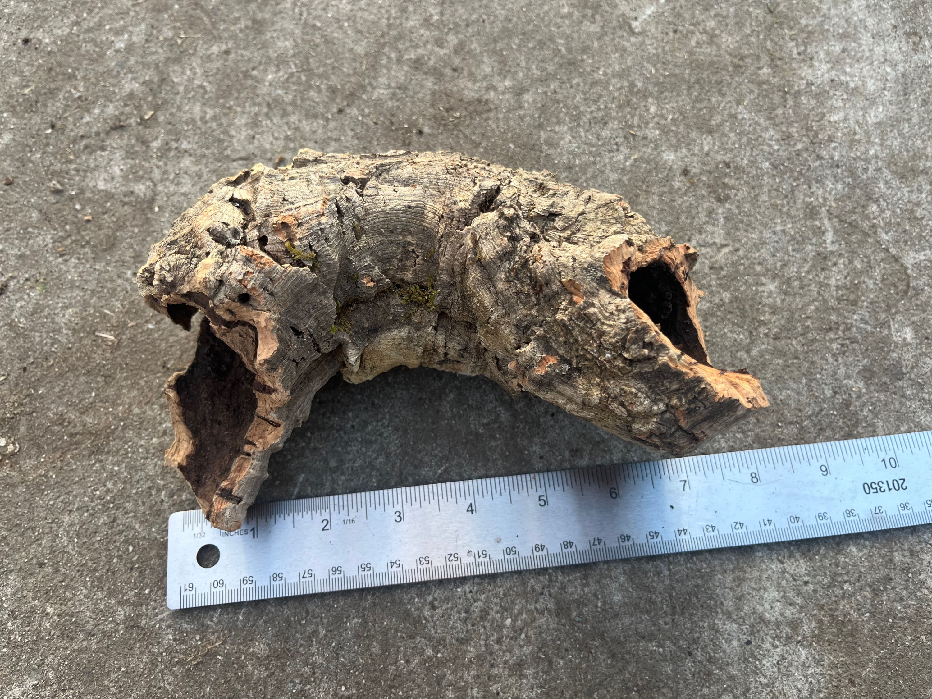 7" Cork Bark Tube #110