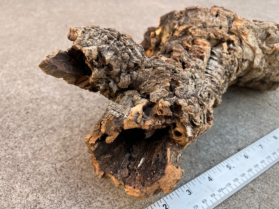 Thumbnail: 12" Cork Bark Tube #133