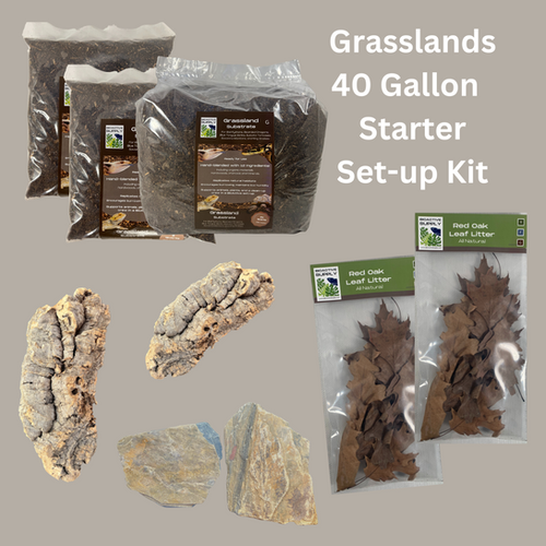 Grasslands BioActive 40Gallon Starter Setup Kit Bioactive Supply