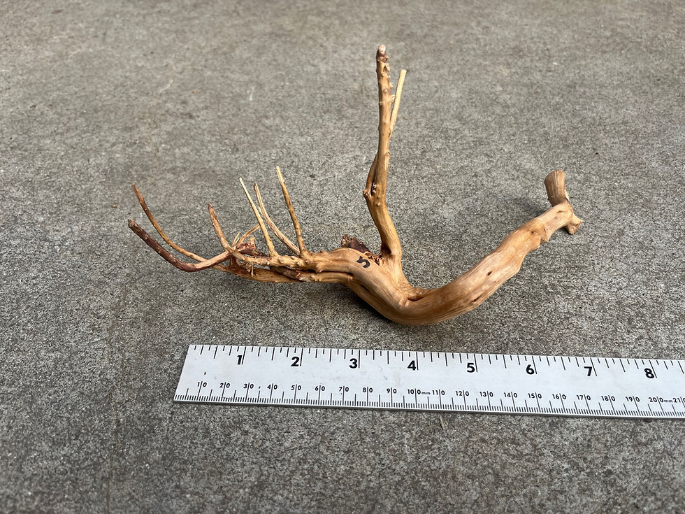 Thumbnail: 9" Spider Wood #40