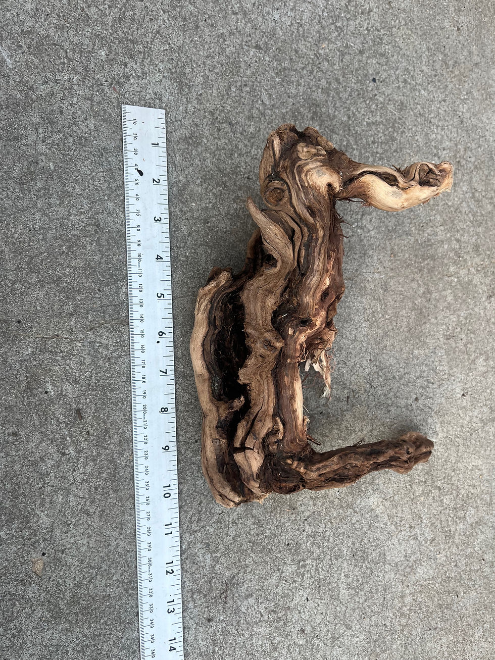 Thumbnail: 10" Grape Wood #30