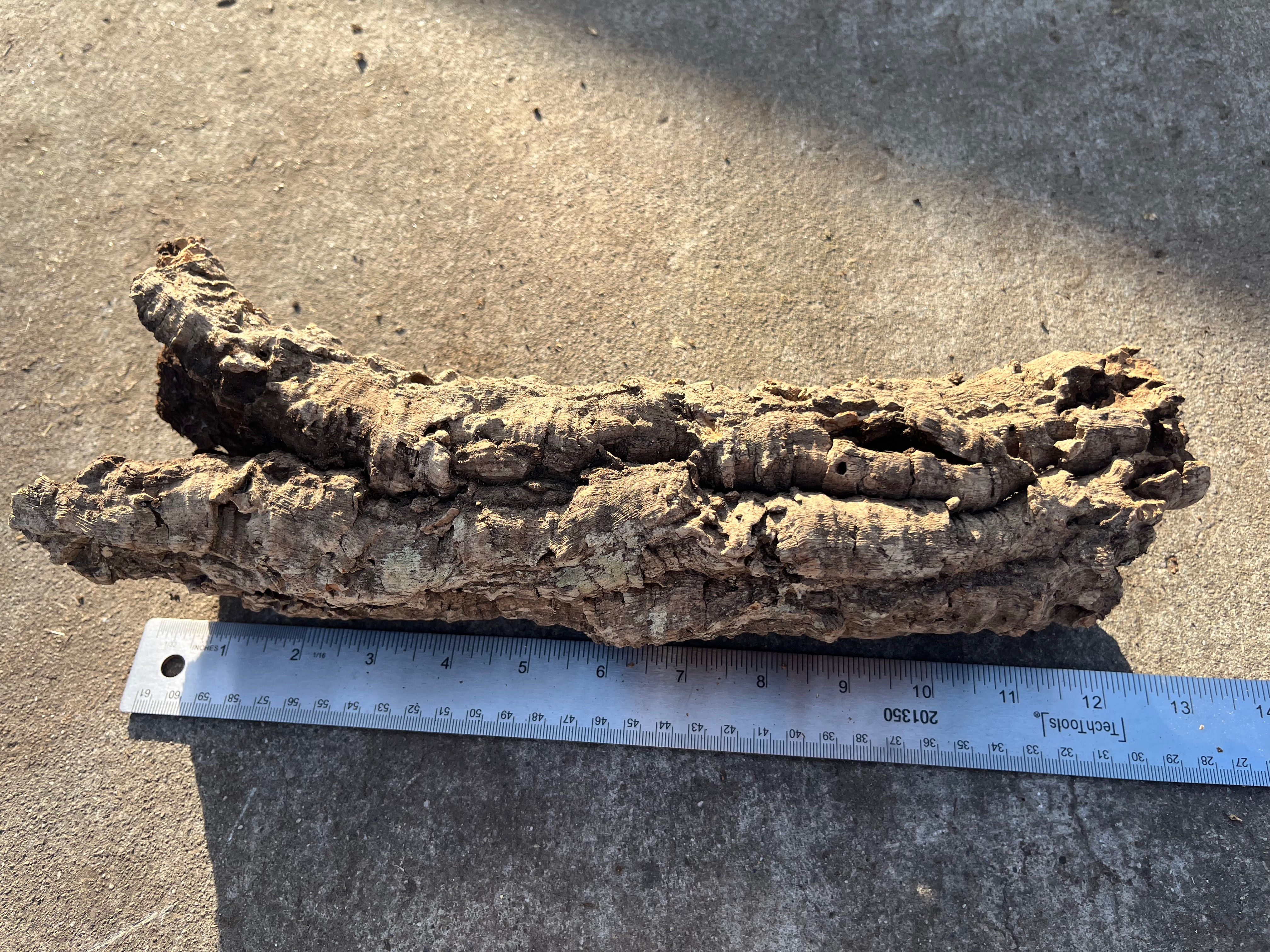 13" Cork Bark Tube #85