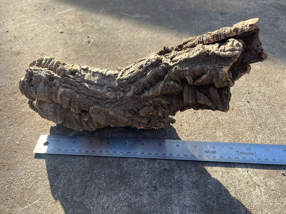 Thumbnail: 13" Cork Bark Tube #82