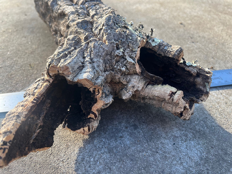 Thumbnail: 14.5" Cork Bark Tube #76