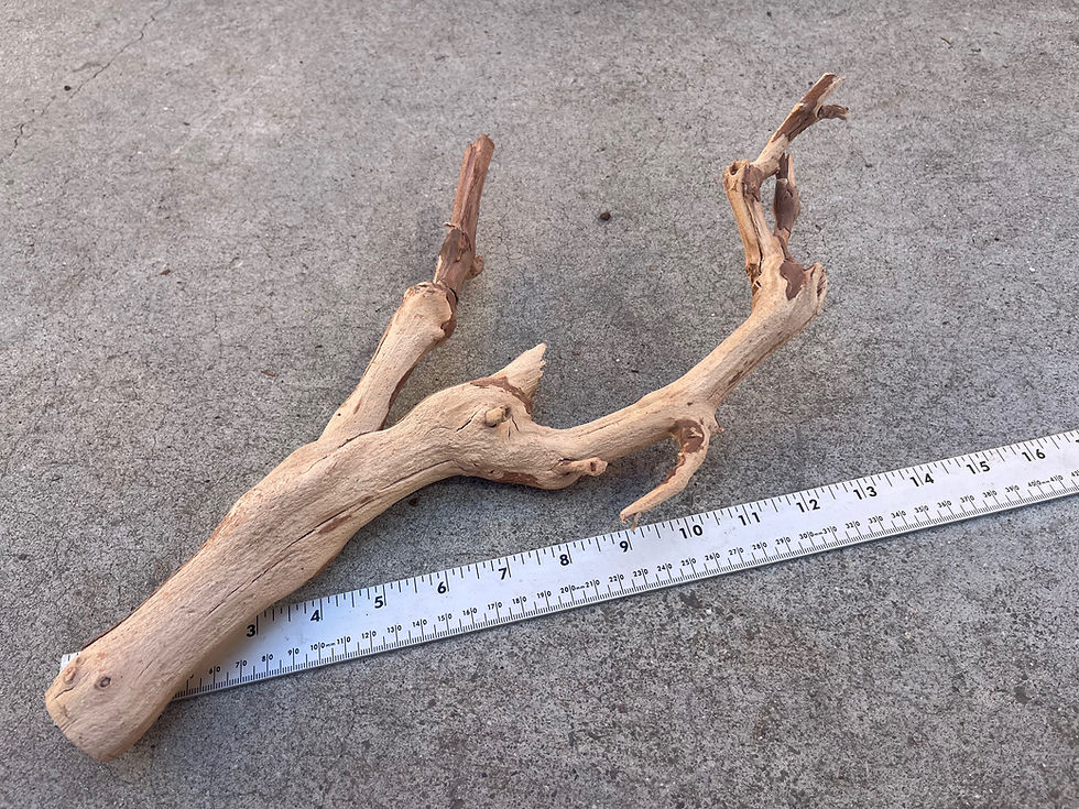 Thumbnail: 13" Grape Wood Branch #37