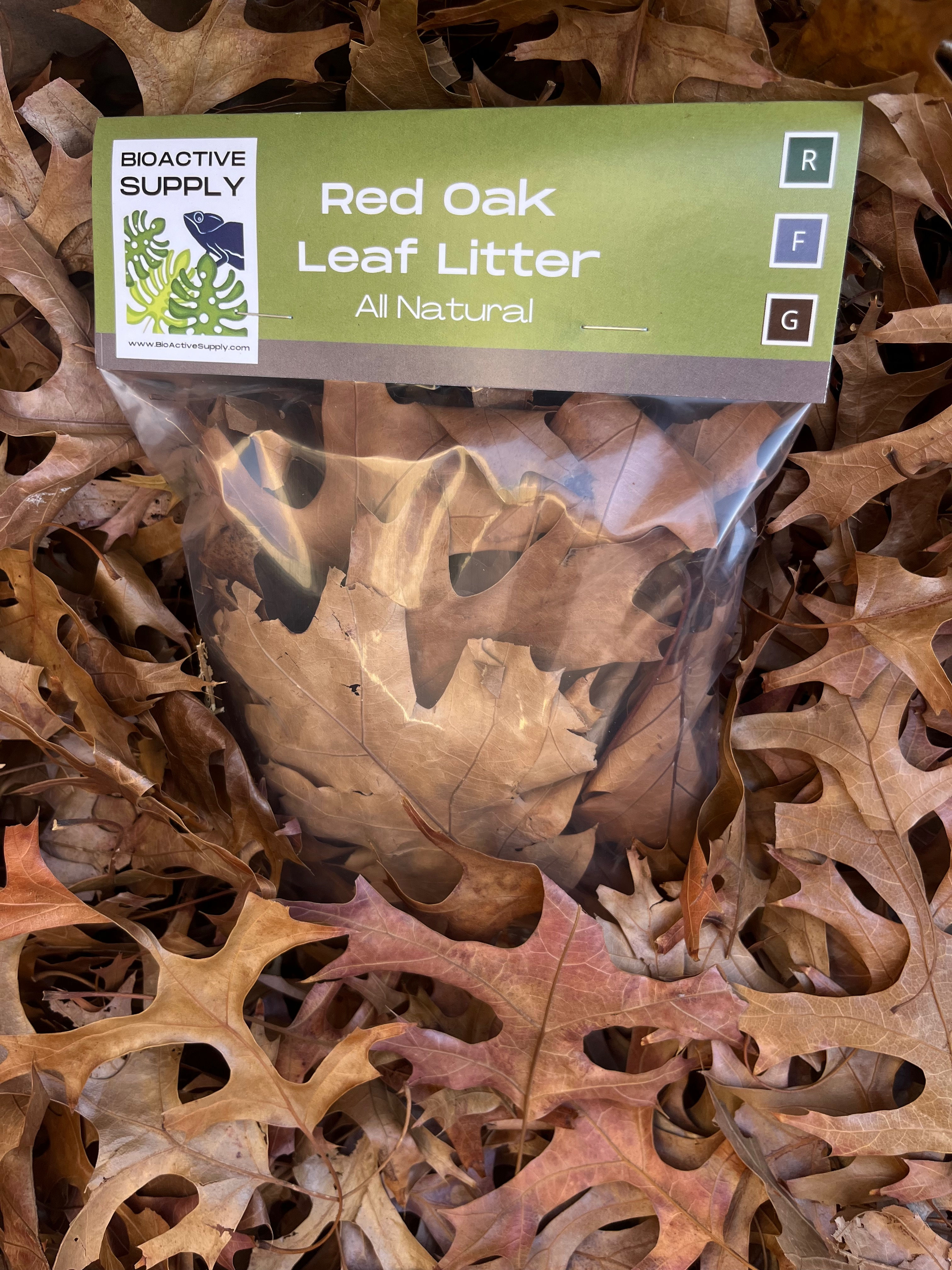 Red Oak Leaf Litter