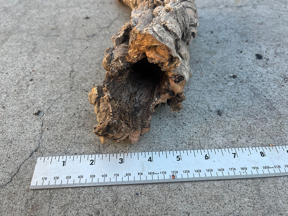 Thumbnail: 12" Cork Bark Tube #47