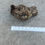 Thumbnail: 8" Cork Bark Tube #25