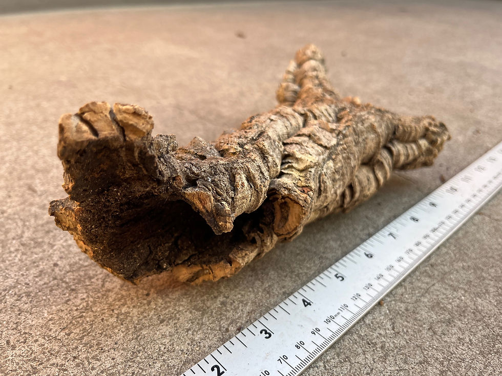 Thumbnail: 11" Cork Bark Tube #142