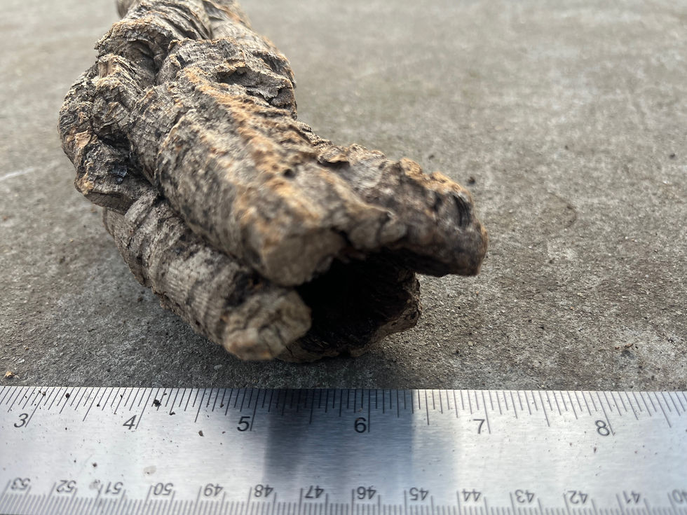 Thumbnail: 8" Cork Bark Tube #120