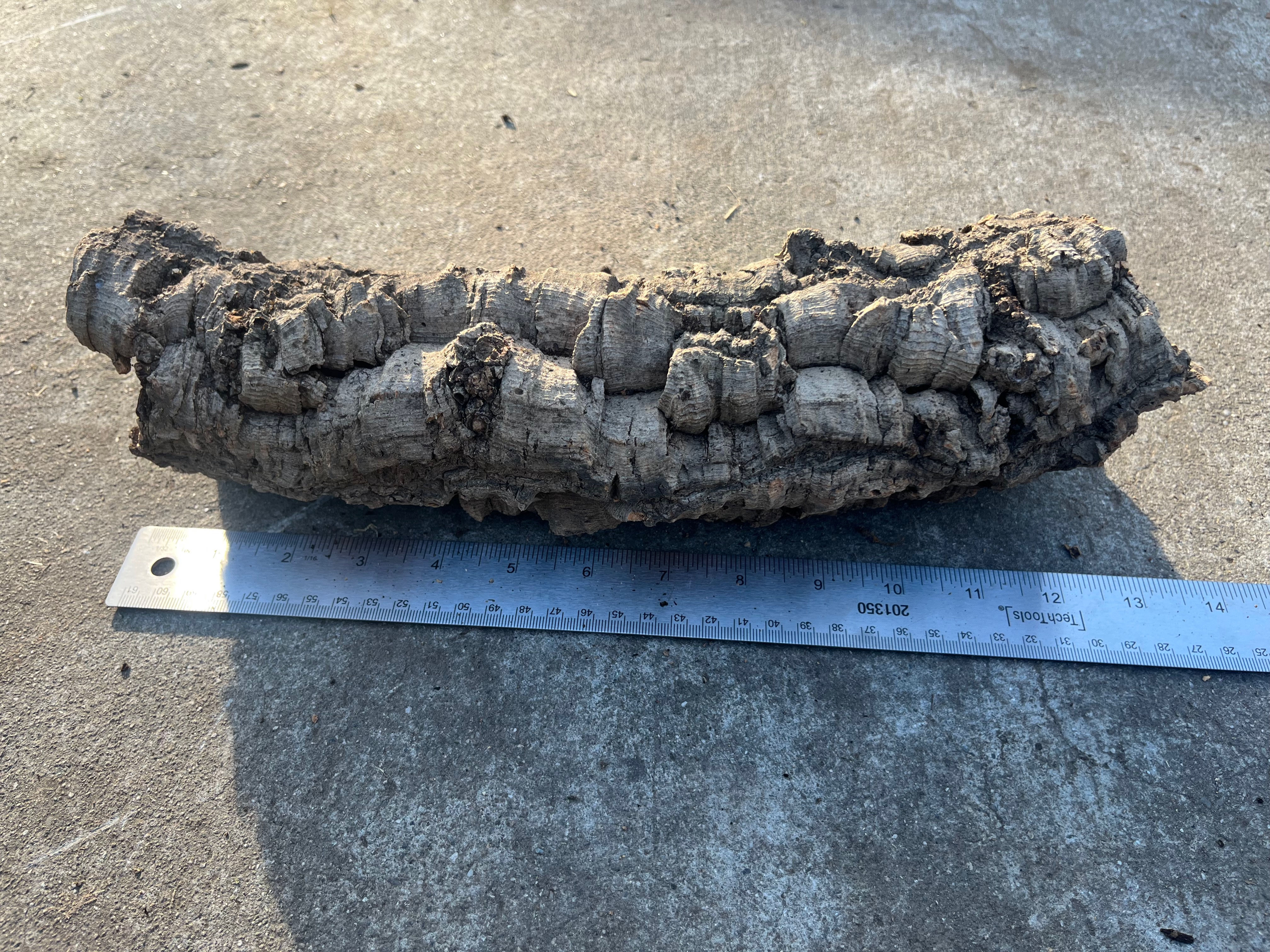 12" Cork Bark Tube #80
