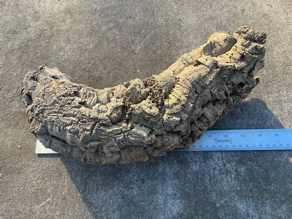 Thumbnail: 14" Cork Bark Tube #75