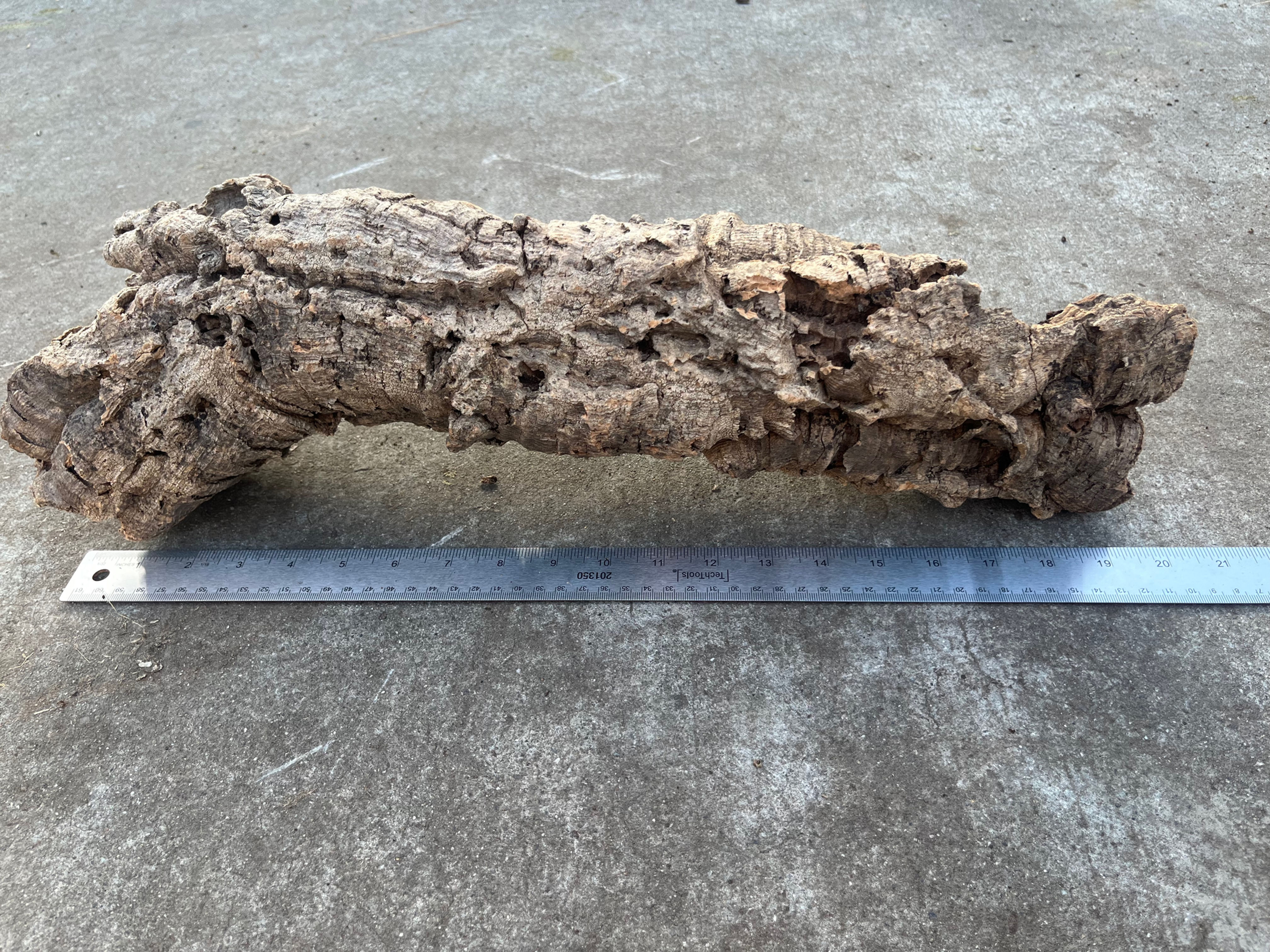 20" Cork Bark Tube #103