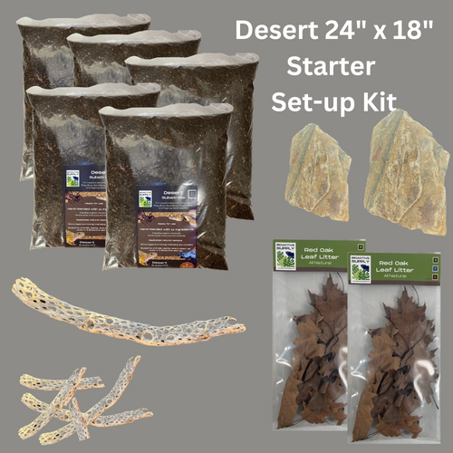 Desert BioActive 24" x 18" Starter Setup Kit Bioactive Supply