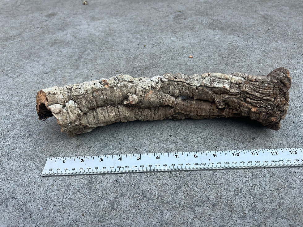 Thumbnail: 13" Cork Bark Tube #27