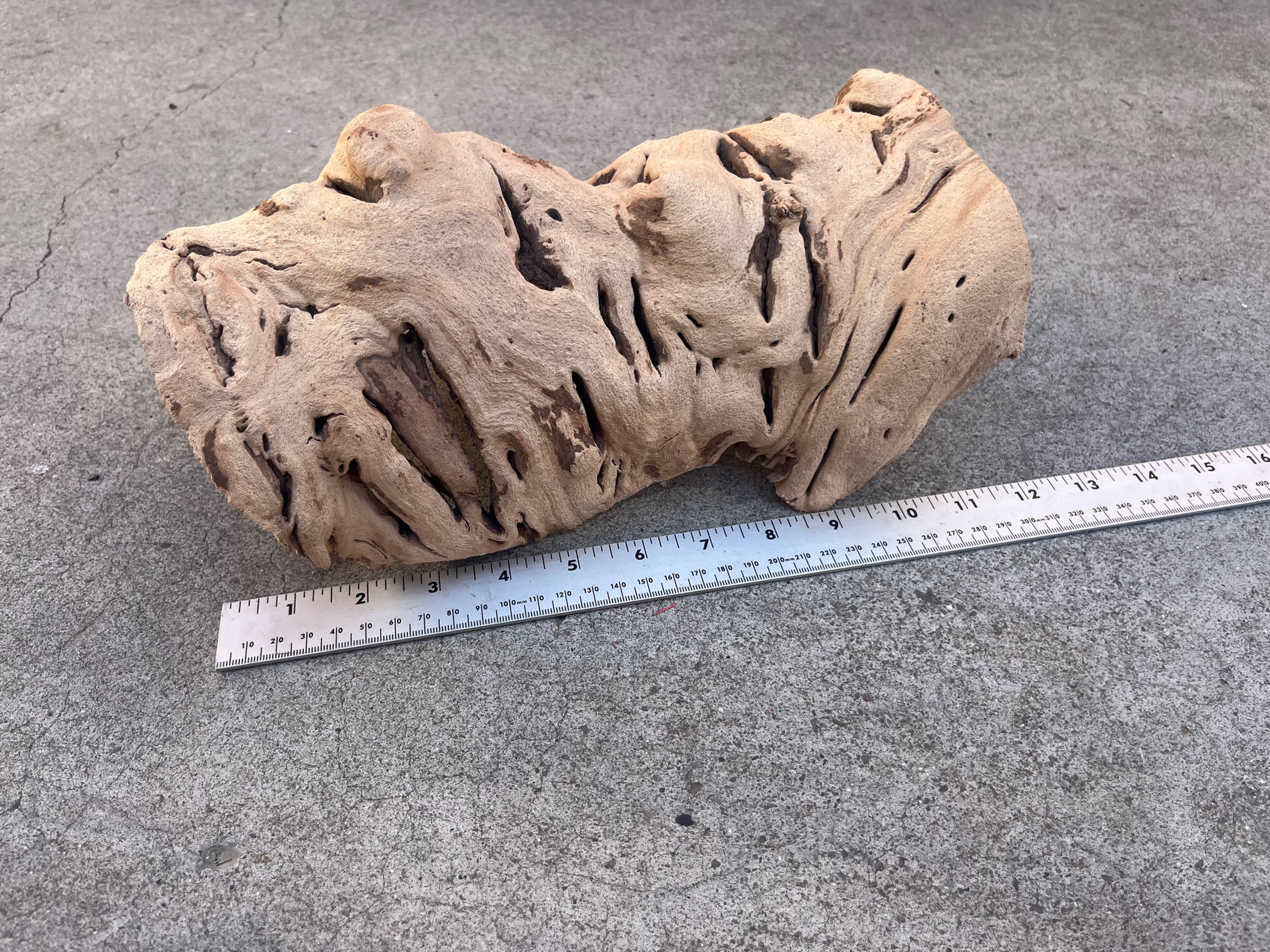 12" Grape Wood Hide #36