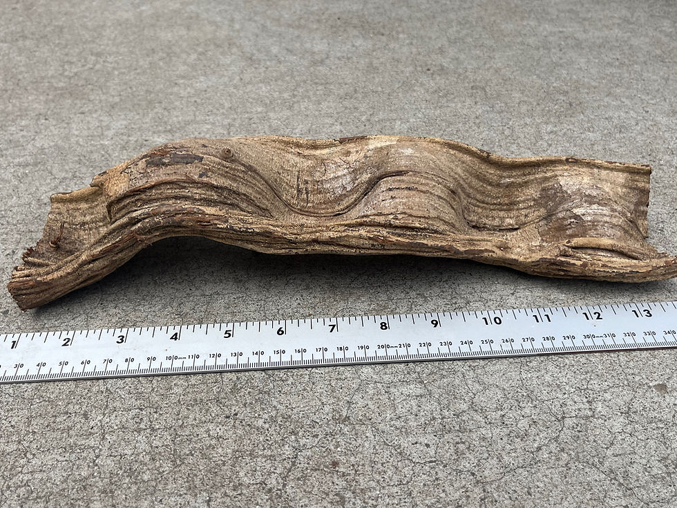 Thumbnail: 13" Jungle Wood #9