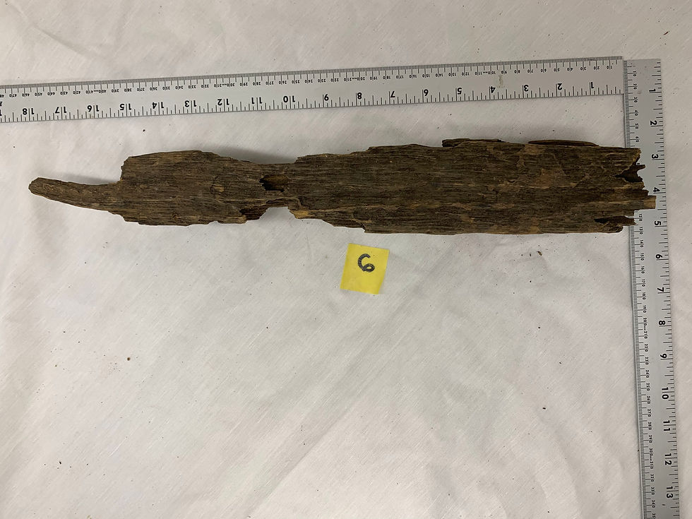 Thumbnail: Dragon Bone Wood #6   Size Large