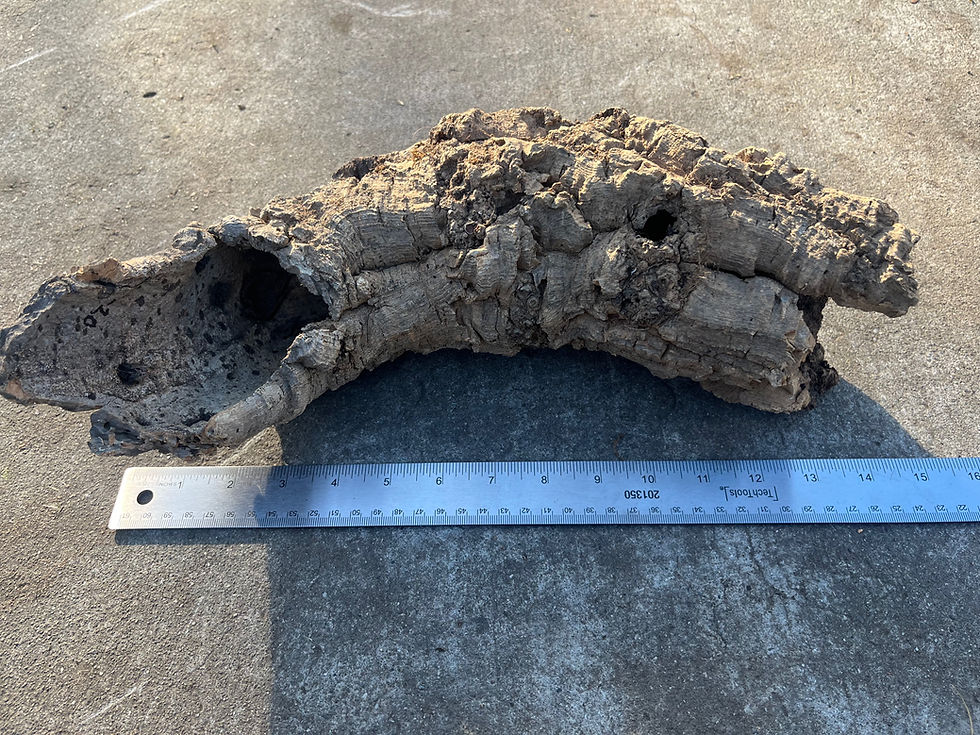 Thumbnail: 14" Cork Bark Tube #75