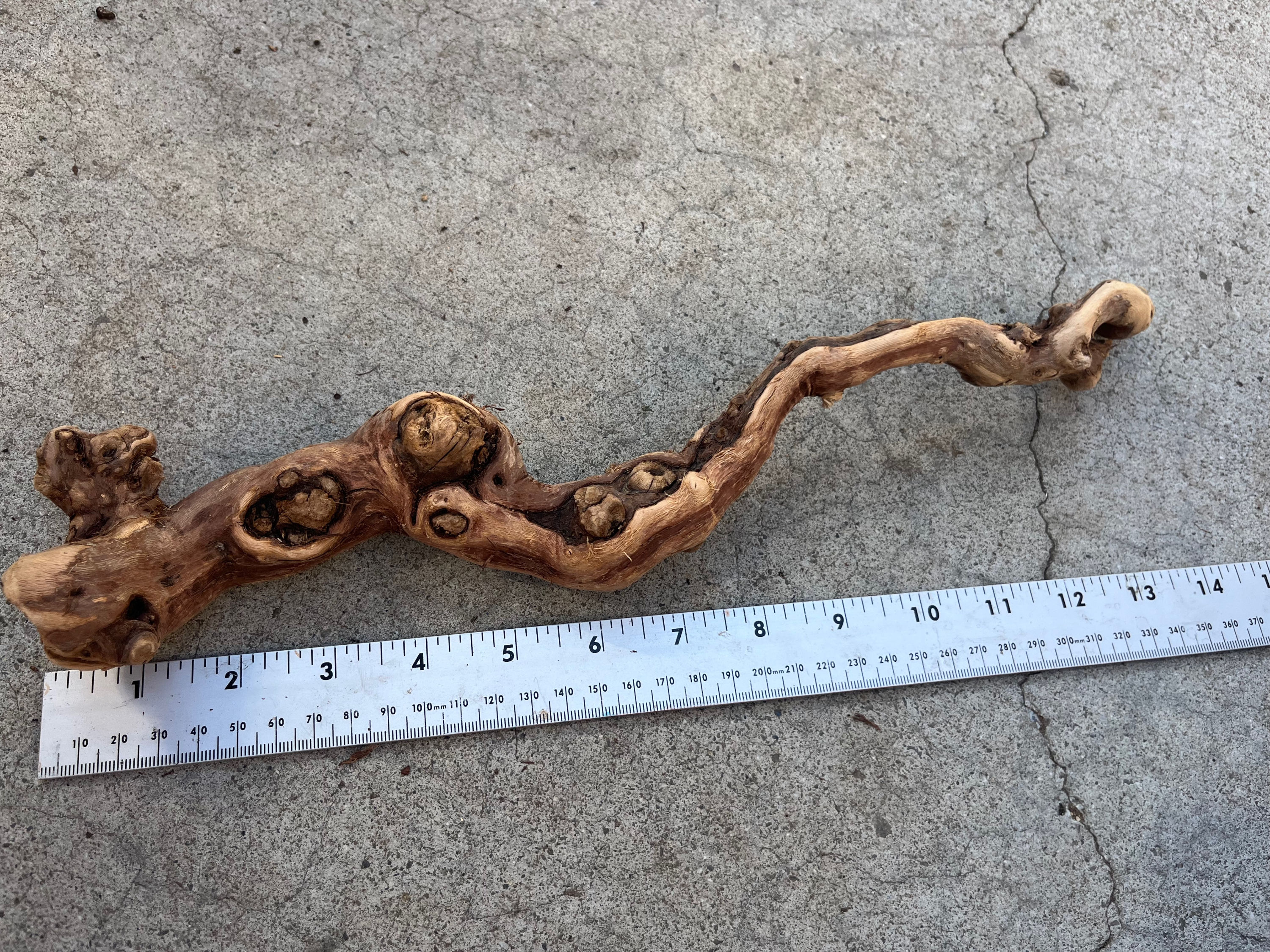 13"Grape Wood #83