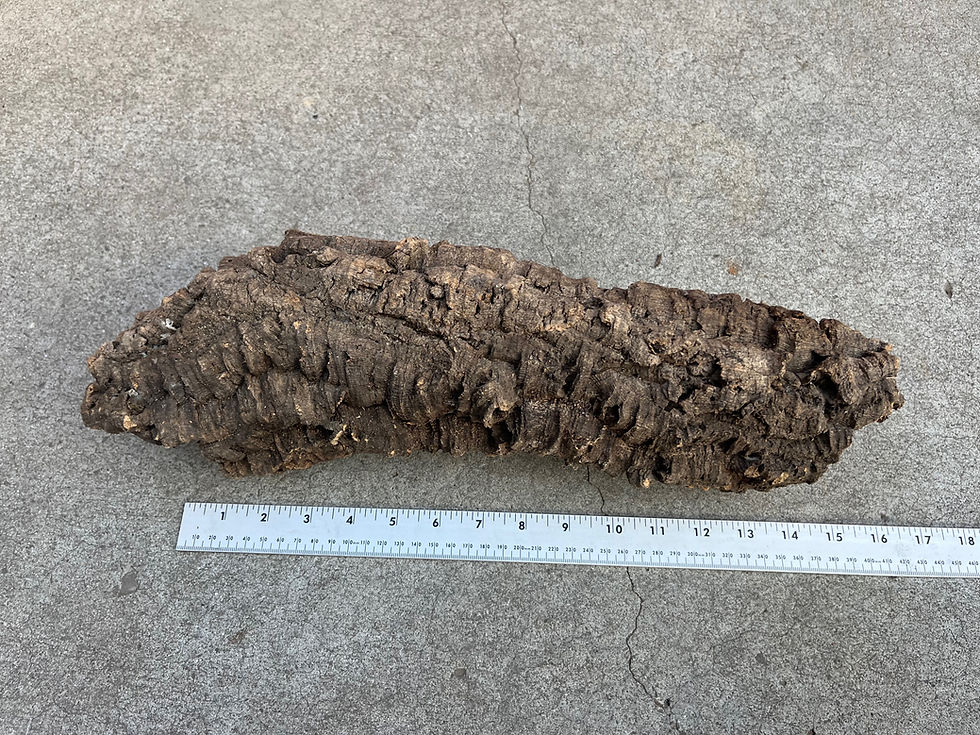 Thumbnail: 15" Cork Bark Tube #144