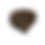 Thumbnail: Monkey Pod