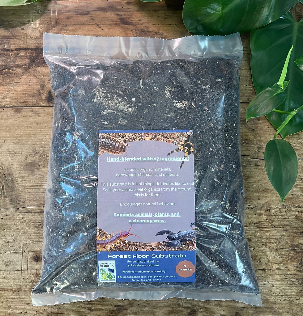 Thumbnail: BioActive Forest Floor Substrate 6 qt