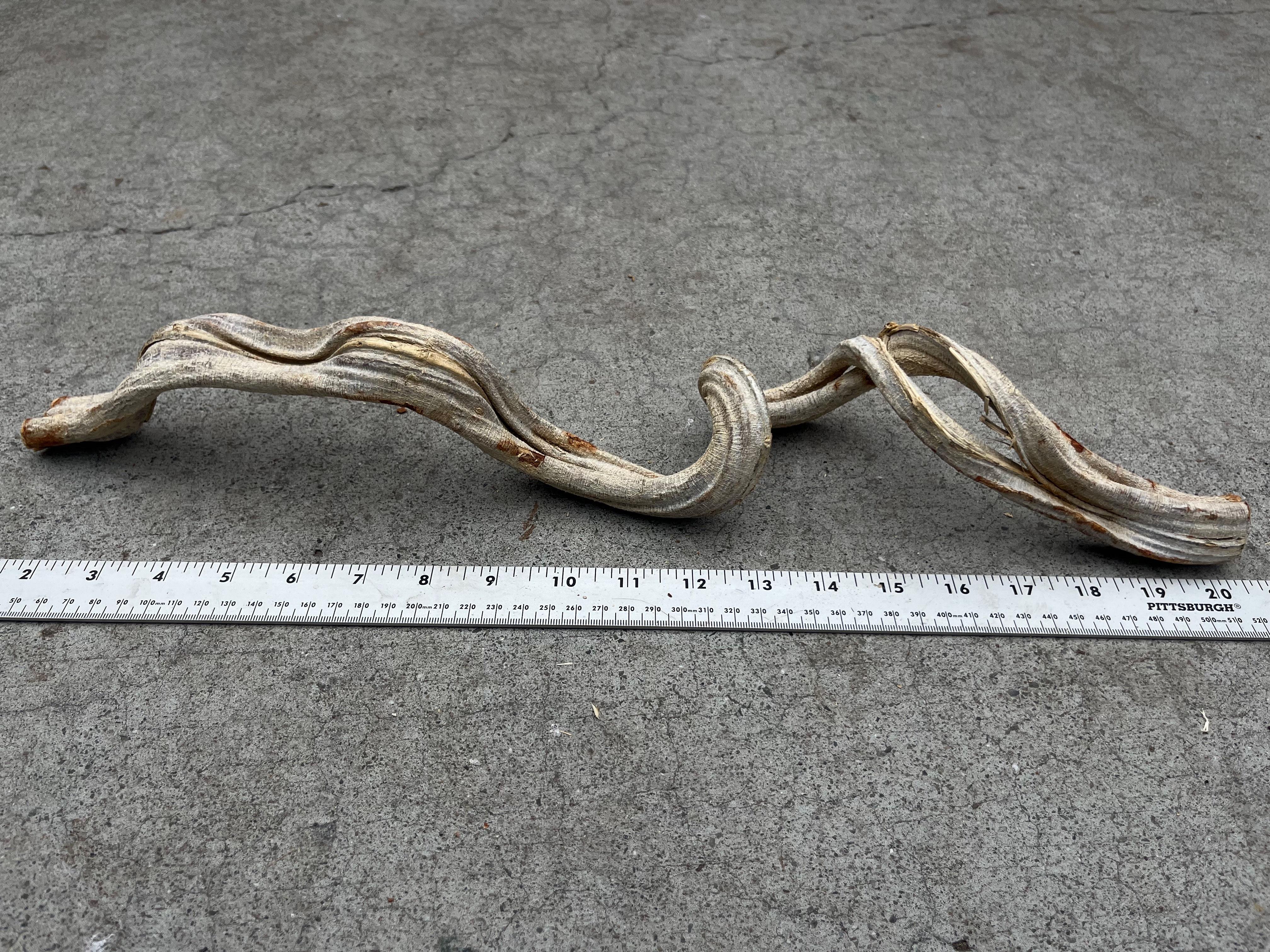 20" Twisty Wood #18