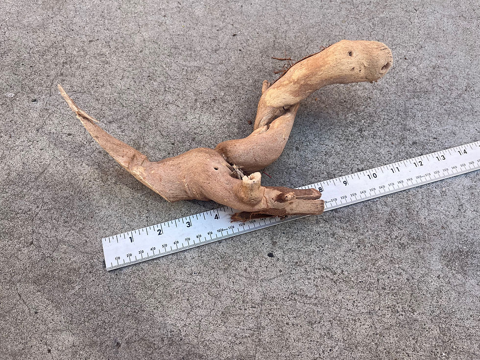 Thumbnail: 10" Grape Wood Branch #46